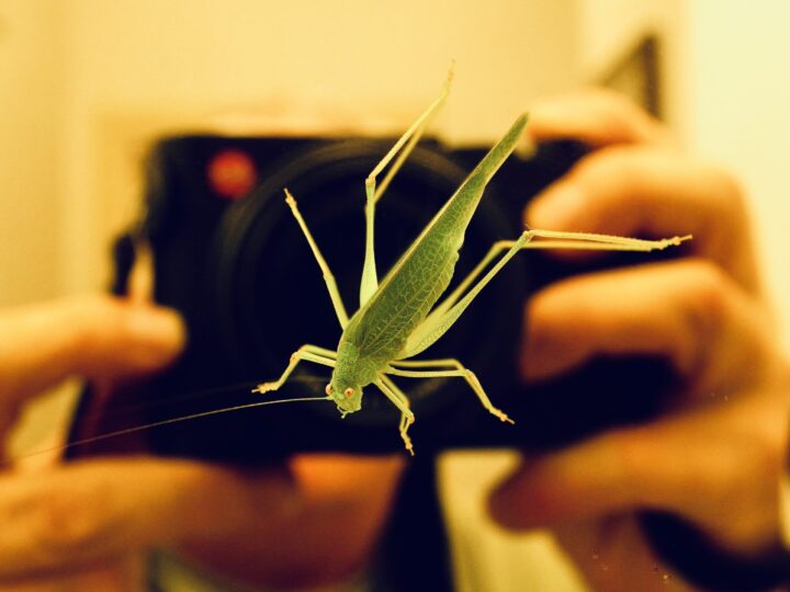 Moja fotografowanie  #taktojest