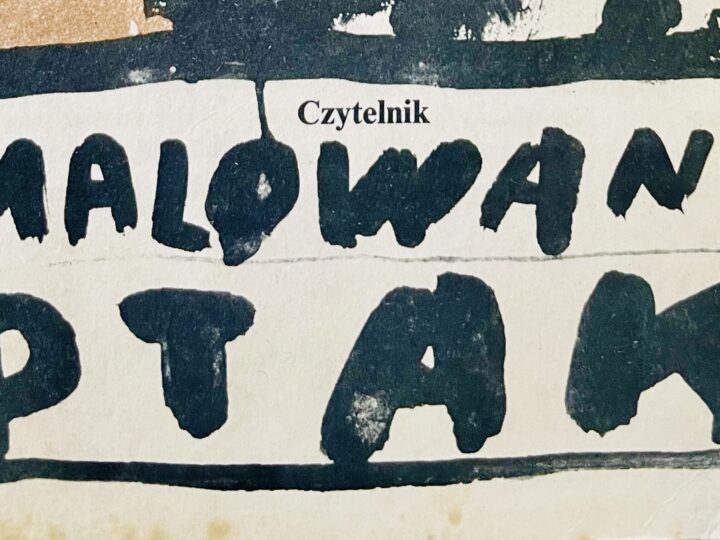 „Malowany Ptak” Jerzego Kosińskiego po latach, zdjęty z półki